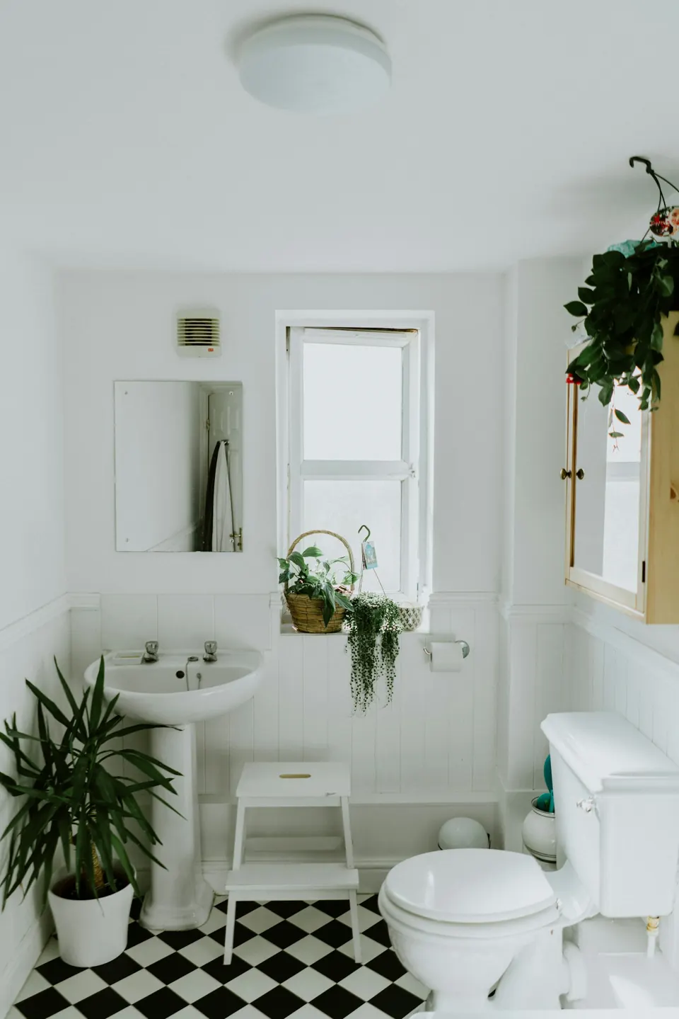White bathroom with a pedestal basin, leafy plants and a bright window